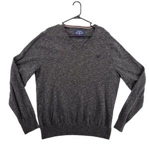 AMERICAN EAGLE Sweater Men's Long Sleeve V-Neck Pullover Gray Extra Large